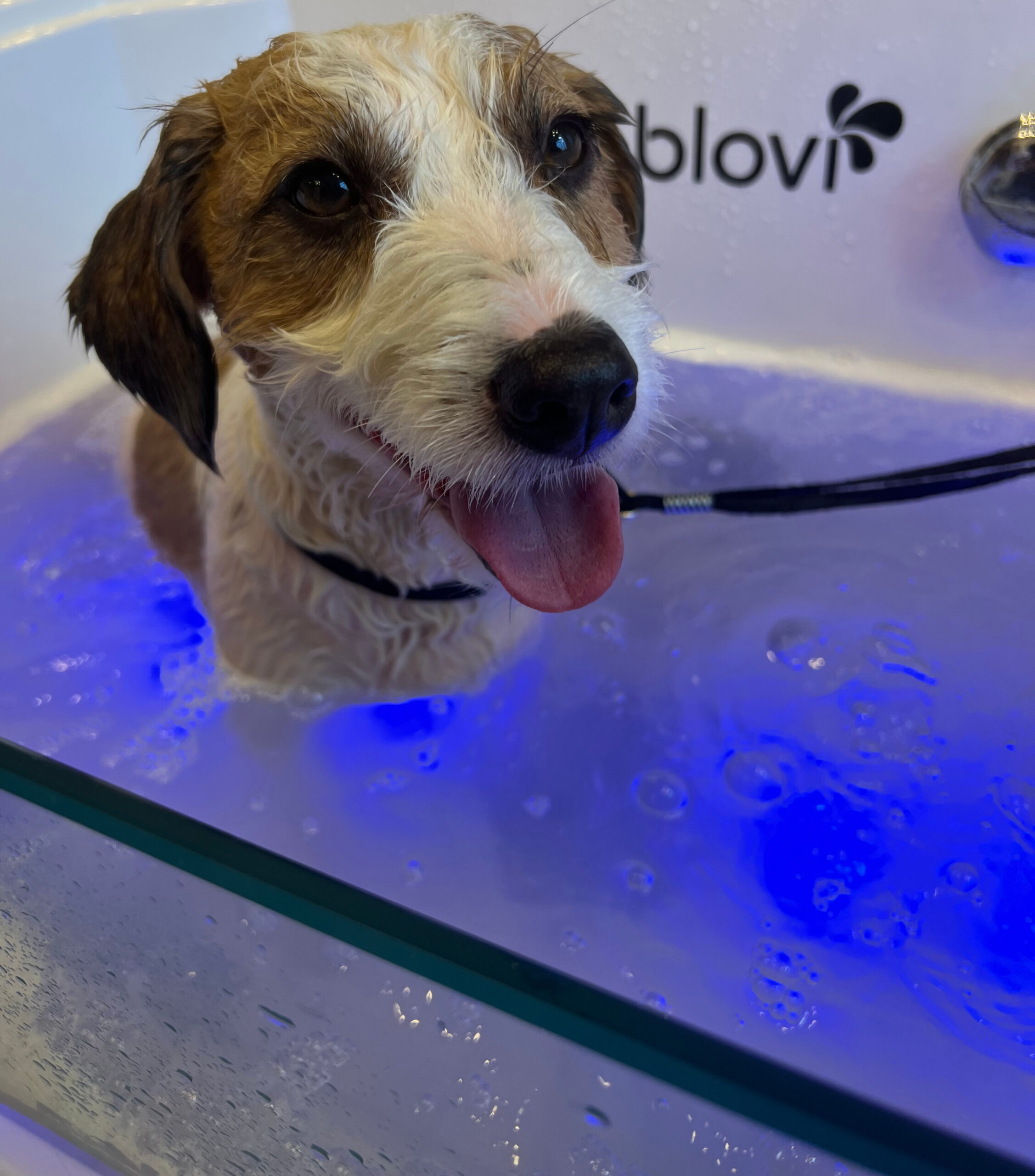 Рекреаційні ванни